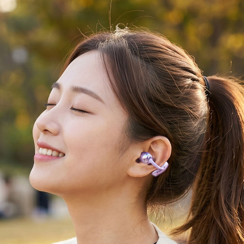 슈틸루스터 이어폰 5