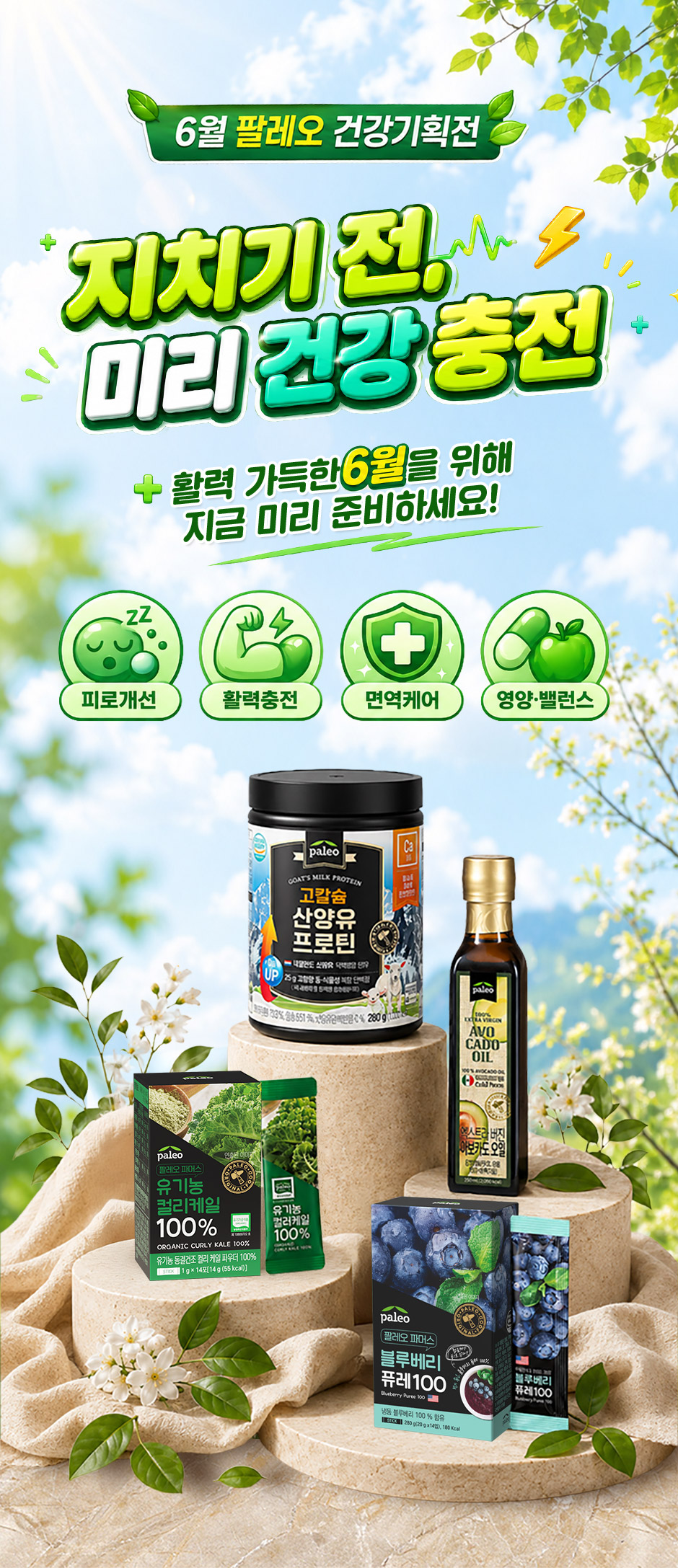 팔레오 건강 기획전