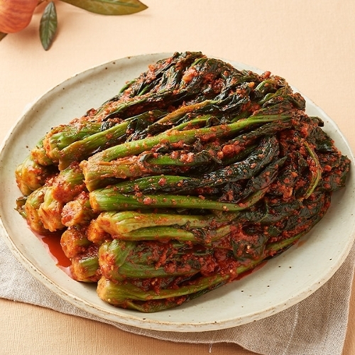 여수돌산갓김치 1.5kg 외 별미김치 모음