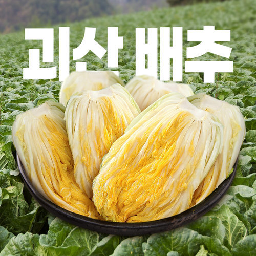 명가일품 [예약배송] 90일자란 괴산 절임배추 20kg