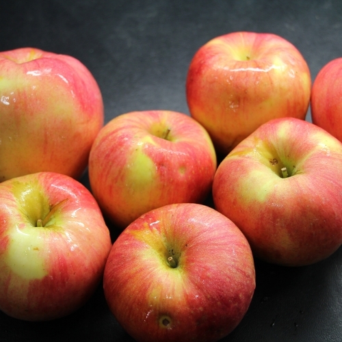 절과당 ★MD추천 [산지직송] 경북사과 가정용 부사 실중량 5kg 중대과 (11-23과)