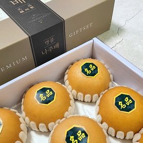 [선물] 명품 나주배 세트 7.5kg(7-10과) 어버이날 스승의날 명절