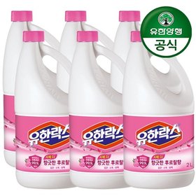 유한락스 후로랄 2L x 6개