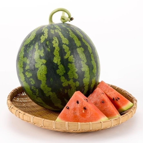 패션플러스 [팔도양식] 고당도 꿀수박 5kg내외 아삭달콤한 맛있는 하우스 수박 (42236515)