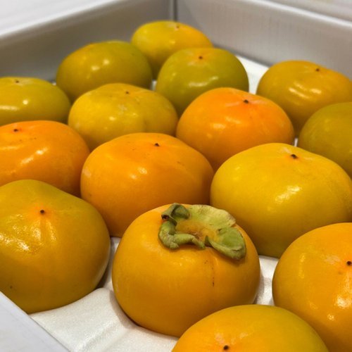 기타 청도반시 씨없는 감 고당도 제철과일 연시 홍시 5kg(30과내)