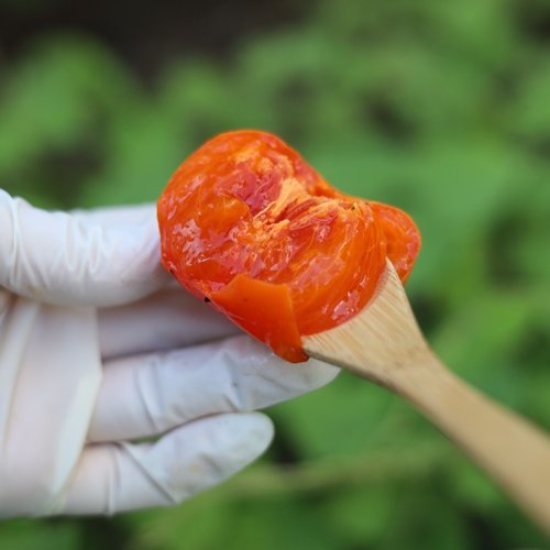 기타 청도반시 씨없는 감 고당도 제철과일 연시 홍시 5kg(55과내)