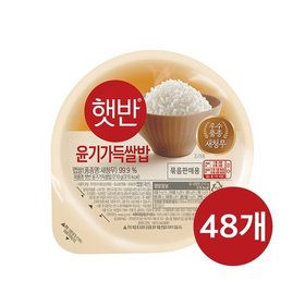 햇반 윤기가득쌀밥 210g x24개+24개 (총48개)