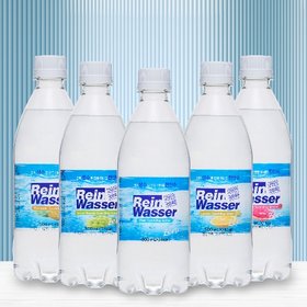 라인바싸 탄산수 500ml 2박스(총40개)