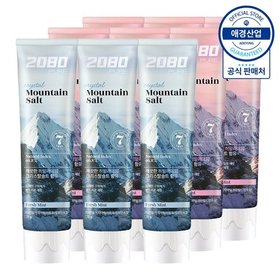 2080 퓨어 솔트 치약 120g ,9개