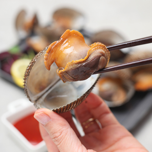 남해안 활 피꼬막 3kg