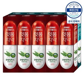 2080 유칼립투스 진지발리스 치약 150g ,10개