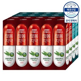 2080 유칼립투스 진지발리스 치약 150g ,20개