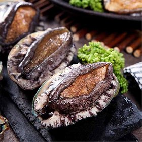 완도 활전복 왕특대(100g~120g)*15미 / 총 1.5kg 이상 + 세척 전용솔