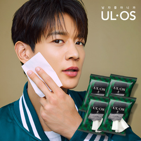 페이스 시트 14매 x 4개