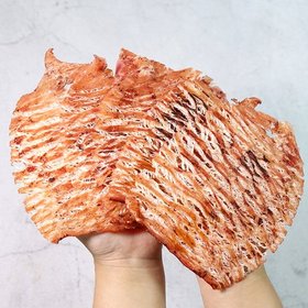 한번 구워내 더 맛있는 휴게소 철판구이 몸통오징어 200g(7-14미)