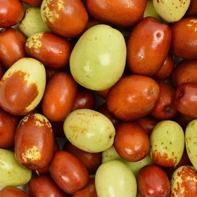 국내산 사과 대추 특 1kg 부여 생대추 생 왕대추