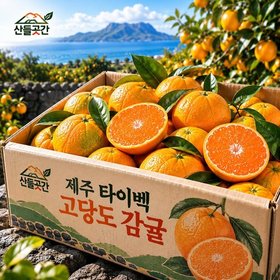 [산들곳간] 산지직송 당도보장 고당도 타이벡 감귤 (로얄과) 5kg
