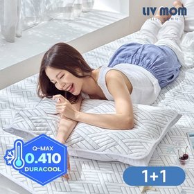 리브맘 매일 바꿔쓰는 듀라쿨 아이스냉감 베개커버 1+1 50x70